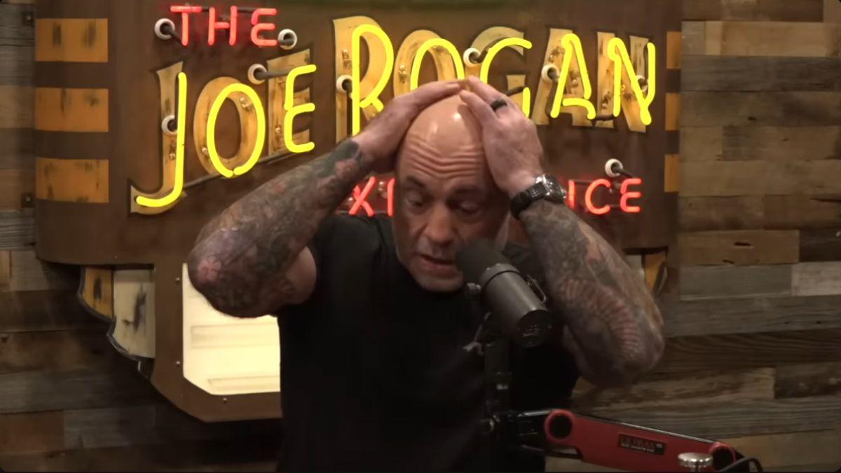 joe rogan.