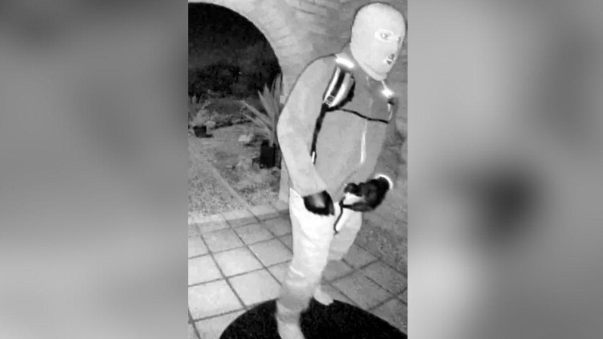 photo of Nancy Guthrie suspect