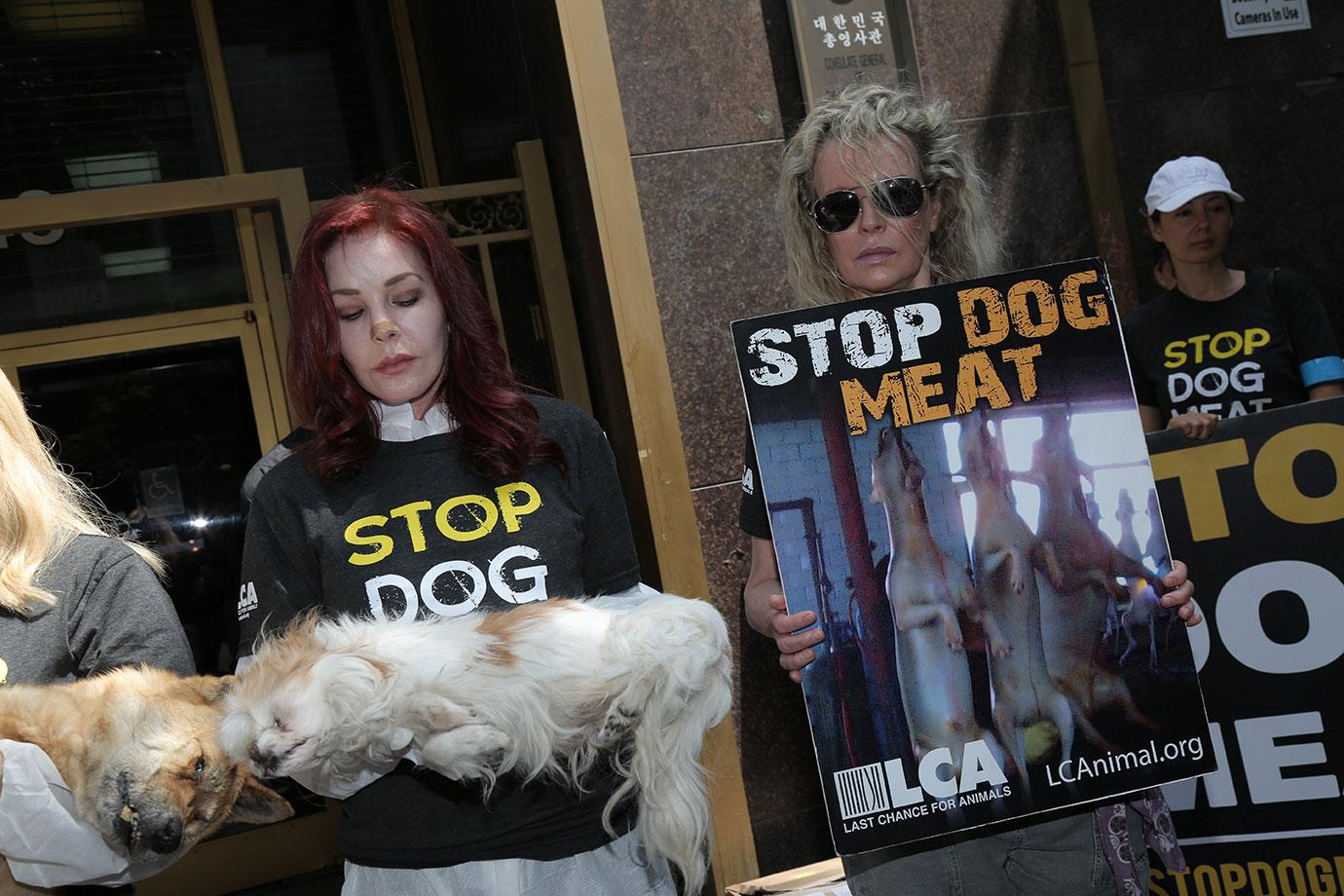 Priscilla Presley Kim Basinger Hold Dead Dogs Photos