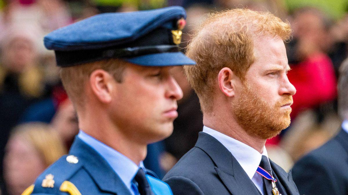 Photo of Princes William and Harry