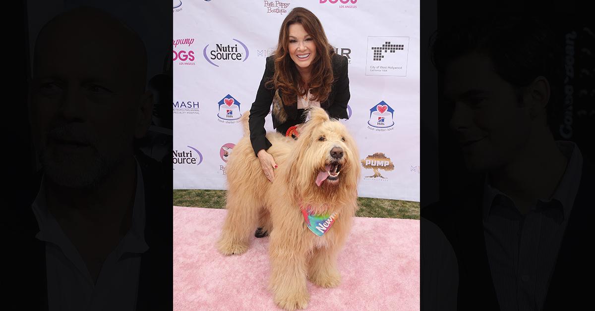 lisa vanderpump dog foundation