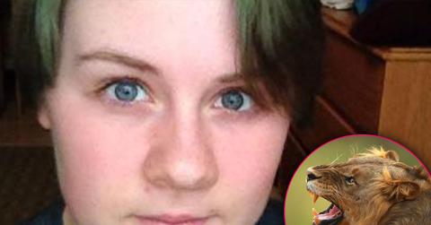 Zoo Intern Killed By Lion ‘Didn’t Have To Die’ Per Animal Rights Experts