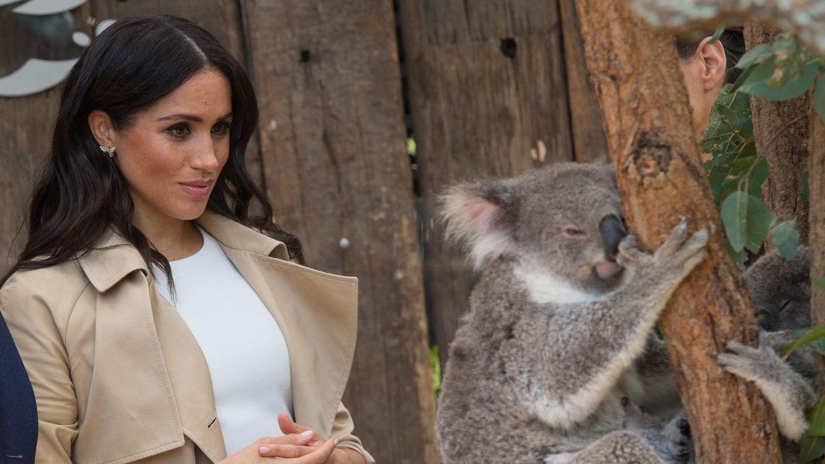 Photo of Meghan Markle