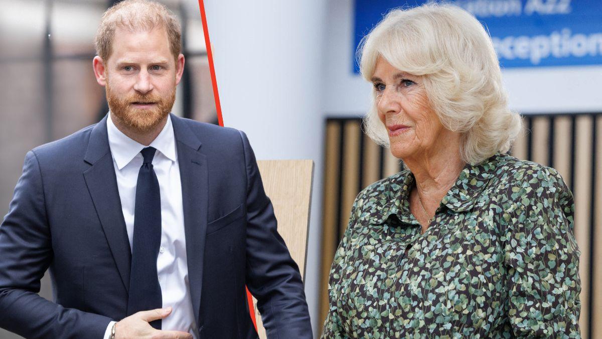 Photo of Queen Camilla and Prince Harry