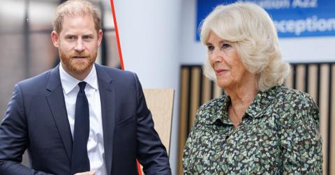 Photo of Queen Camilla and Prince Harry