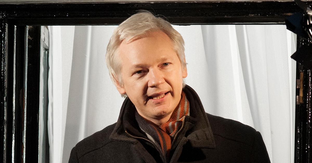 pamela anderson wanted baby wikileaks julian assange