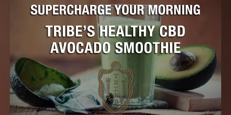 tribe cbd oil healthy avocado smoothie shop