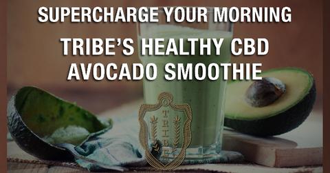 tribe cbd oil healthy avocado smoothie shop