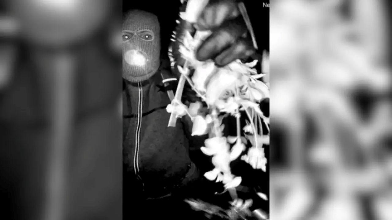 A video of a masked man outside her front door has yielded few leads.
