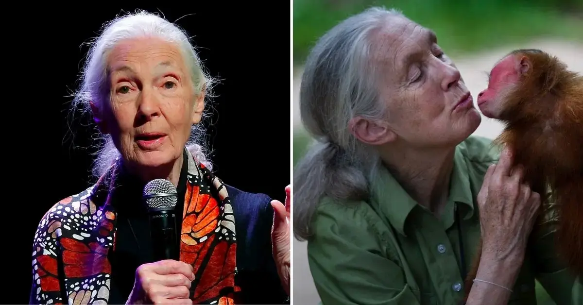 Photo of Jane Goodall