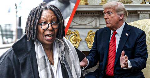 Whoopi Goldberg called for legal action amid problems with the Lincoln Memorial Reflecting Pool.