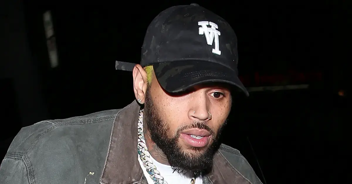 chris brown refusing to sit for videotaped depoisiton dog attack lawsuit ex housekeeper court