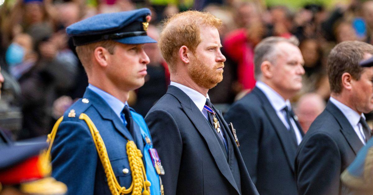 Photo of Prince Harry and William