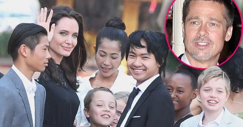 Brad Pitt Angelina Jolie Divorce Custody Battle Kids Cambodia Pics