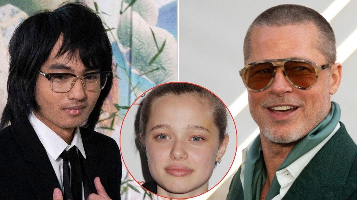 picture of Maddox, Shiloh and Brad Pitt