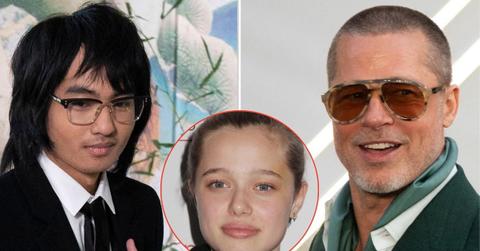 picture of Maddox, Shiloh and Brad Pitt