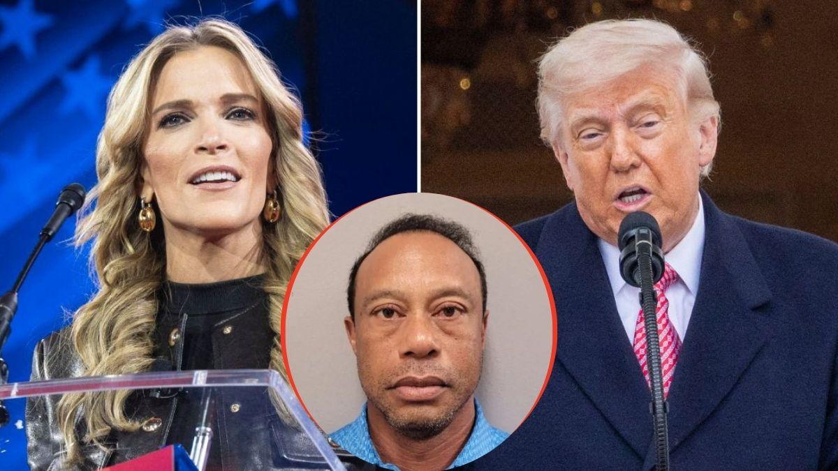 split image of Megyn Kelly / Donald Trump / Tiger Woods