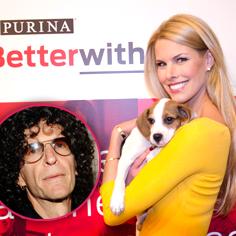 //beth stern doesnt care about haters saves rescue pets