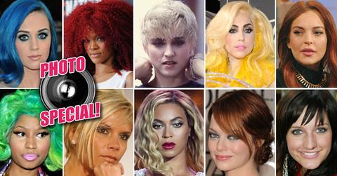 //hair cameleons photo special