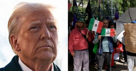 Split photo of Donald Trump, protesters.