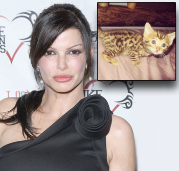 //carla pellegrino cat poisoned wenn twitter