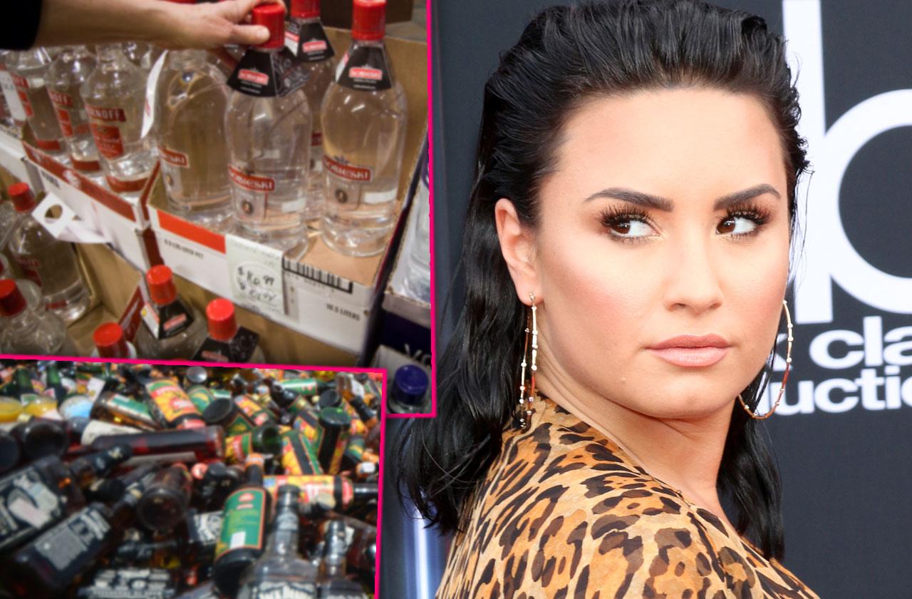 Demi Lovato's Trash Full Of Booze Bottles Exposed