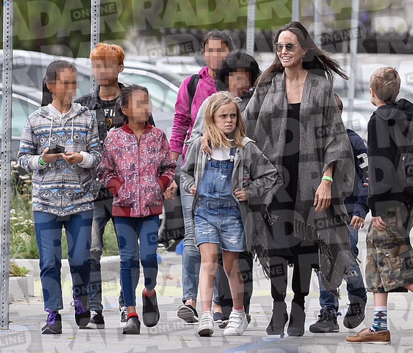 Angelina Jolie Divorce Kids Adopting