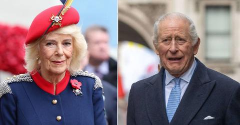 Photo of Queen Camilla and King Charles