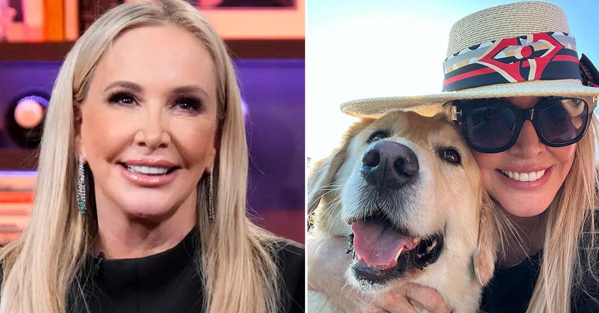 Case Closed: Shannon Beador No Longer Under Investigation by Animal Control Over DUI - Vimarsana News