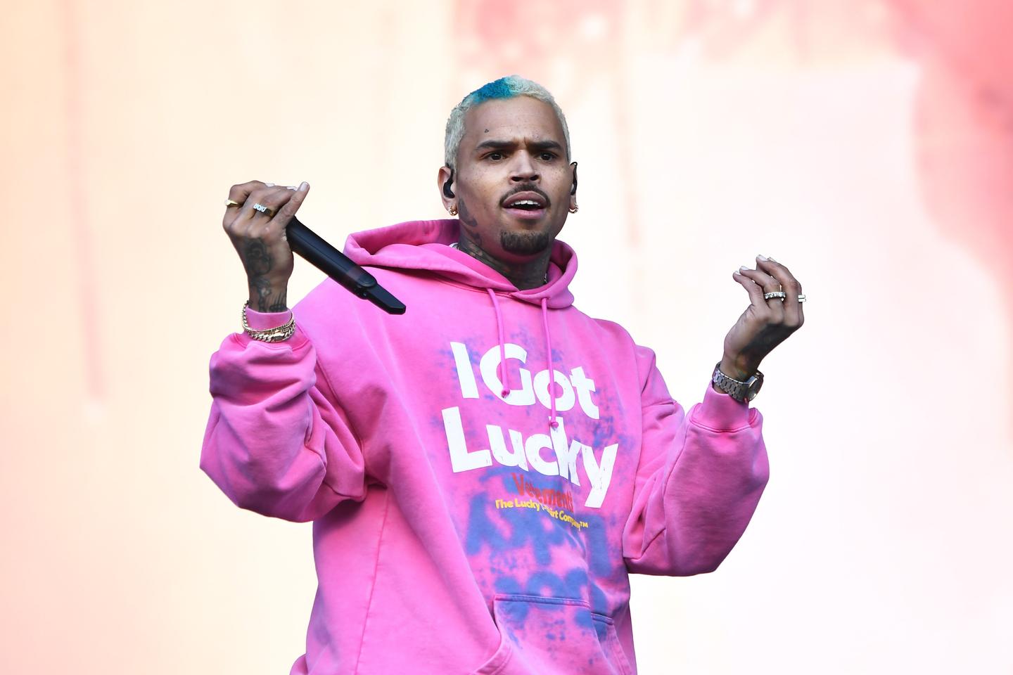 Chris Brown Accuses Ex-Housekeeper Of Mistreating His Dog Before ...