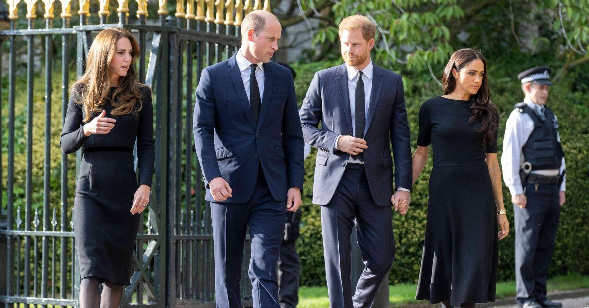 Prince Harry's Royal Peace Talks 'Mean Nothing' Without Prince William