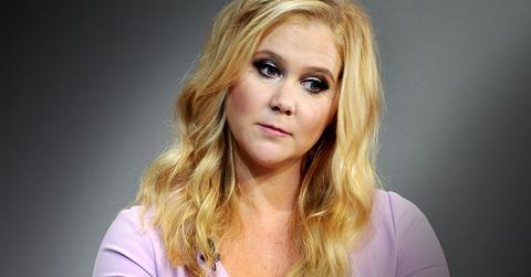 Amy Schumer Arrested Grand Larceny Shoplifting