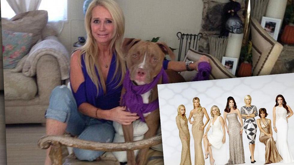 Kim Richards Pit Bull