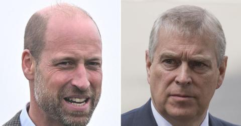 picture of Prince william and andrew windsor