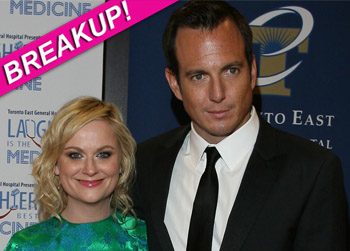 //amy poehler will arnett split