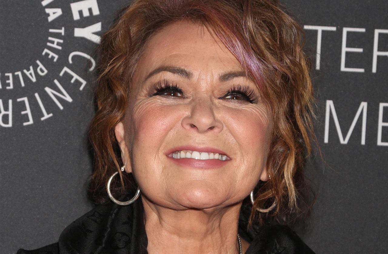 Roseanne Barr Planning New Sitcom To Compete With Spinoff Of Her Old Show