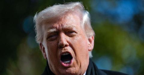 picture of Donald Trump