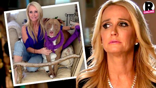 Kim Richards Rehab Drama Pit Bull Kingsley