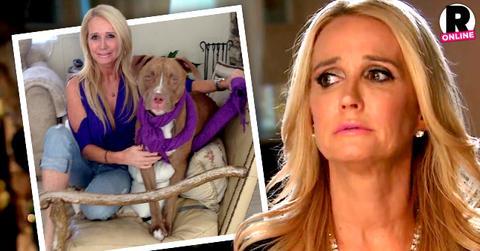 Kim Richards Rehab Drama Pit Bull Kingsley
