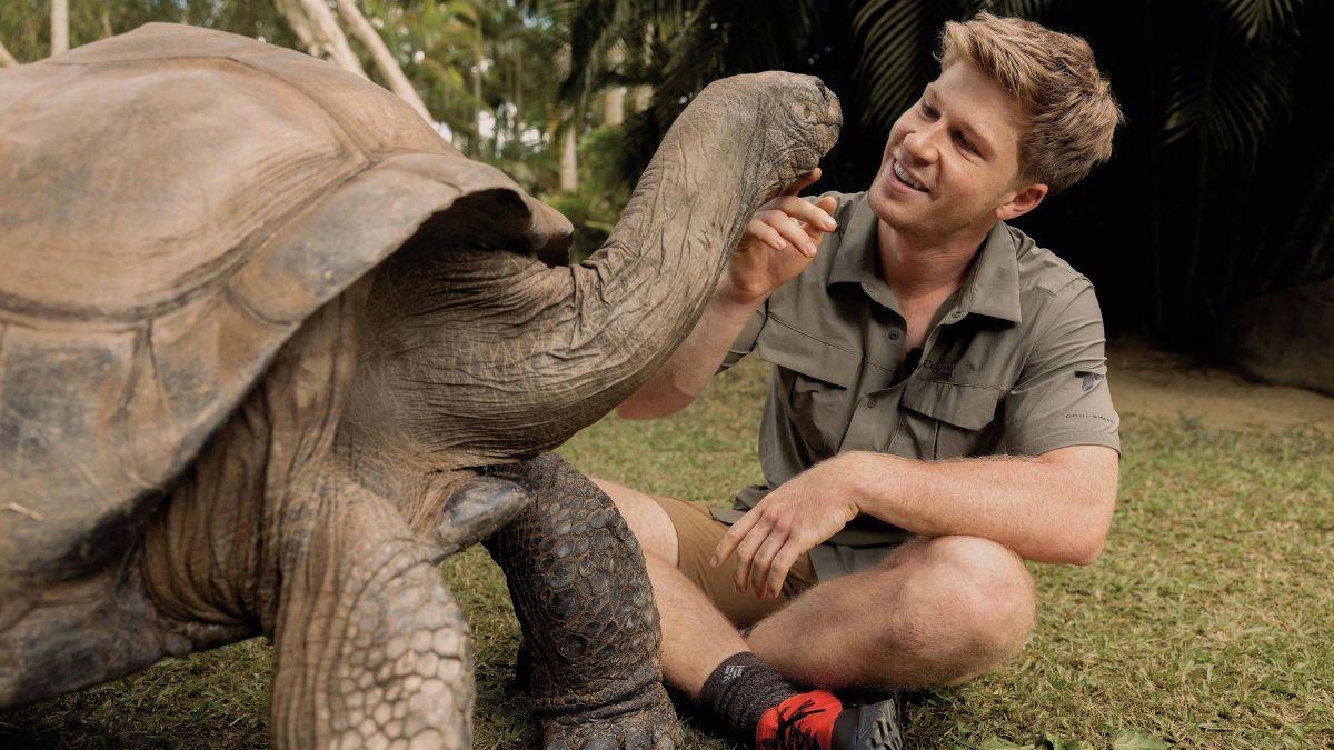 Photo of Robert Irwin