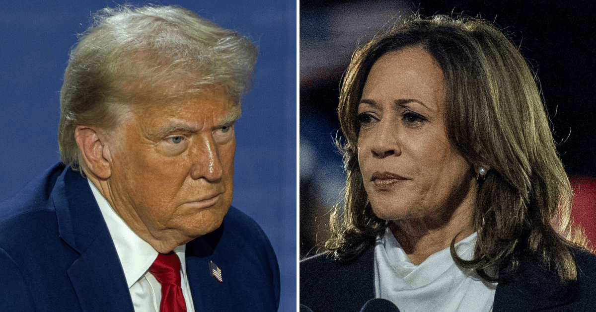 Composite photo of Donald Trump, Kamala Harris