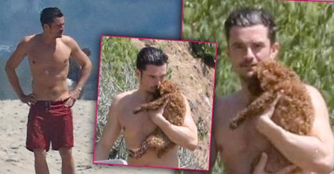 Orlando Bloom Shirtless Abs Puppy