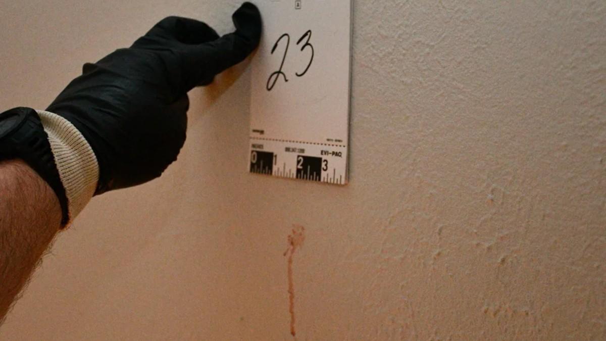 photo from Idaho college house murders.