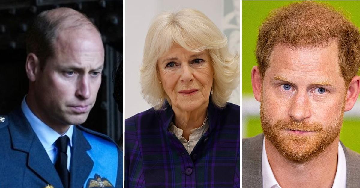 Prince William & Prince Harry’s Secret Plot To Sabotage Queen Camilla