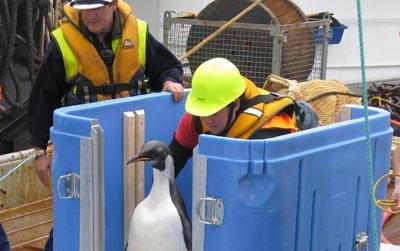 //dwp_happy_feet_released_