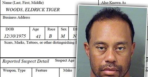//tiger woods dui arrest car fresh damage fell over pp