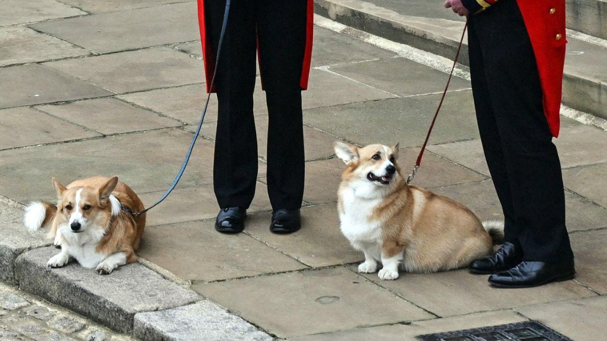 Photo of Muick and Sandy 