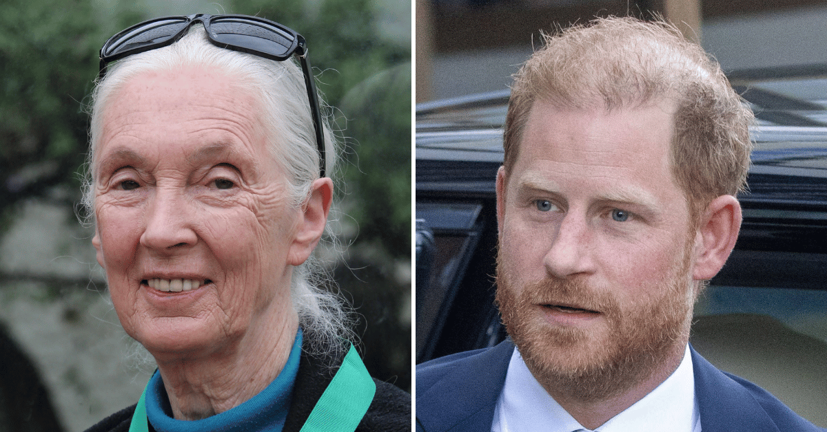 Split photo of Jane Goodall, Prince Harry