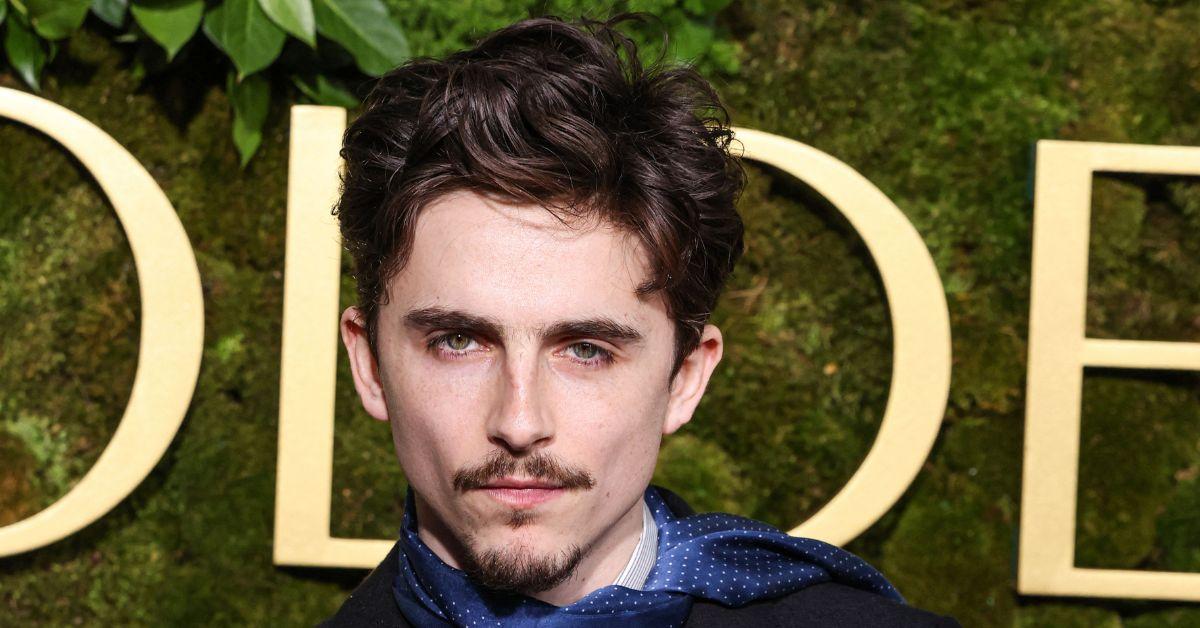 timothee chalamet ready to move on from kylie jenner