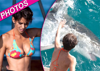 //halle berry swims sharks